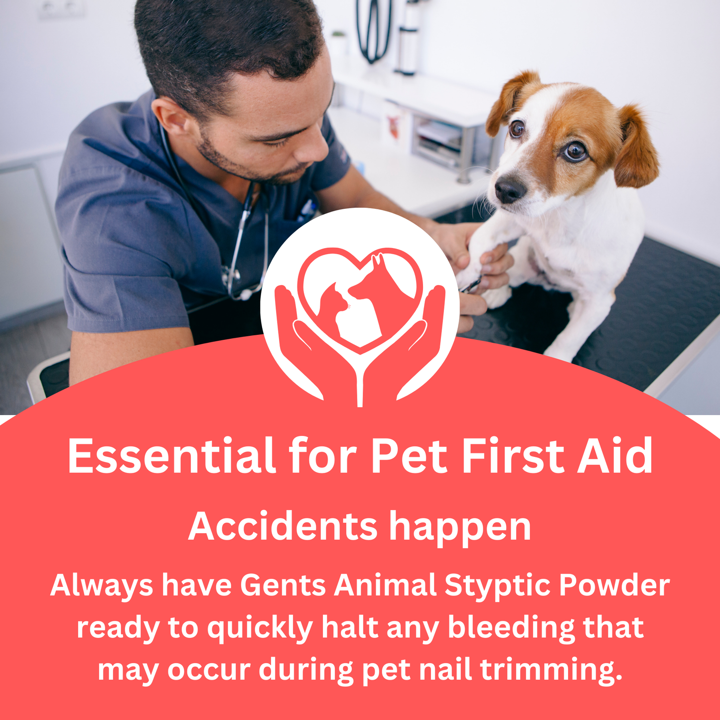 First Aid Styptic Powder for Animals Stops bleeding Instantly for Trimming Pet Nails 1 Ounce Gents